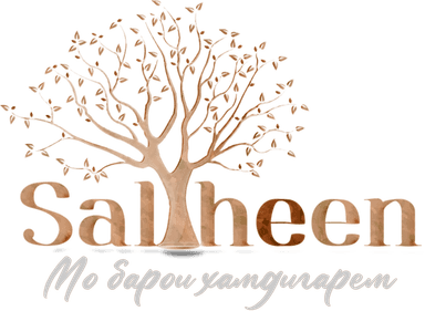 Saliheen